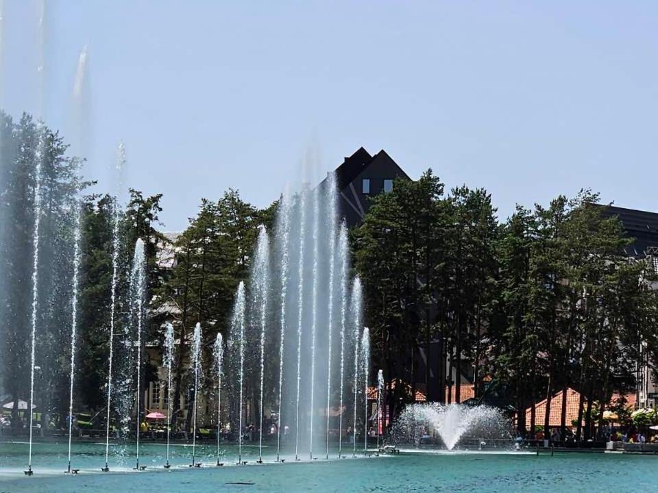 Apartmani Sloboda Zlatibor Zewnętrze zdjęcie